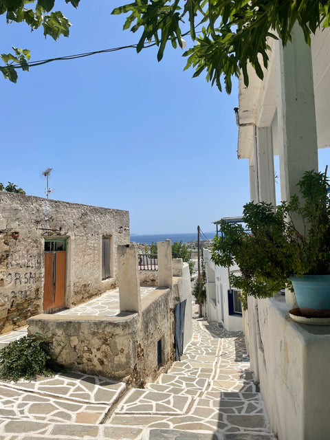 Pass the Olives - Day 1